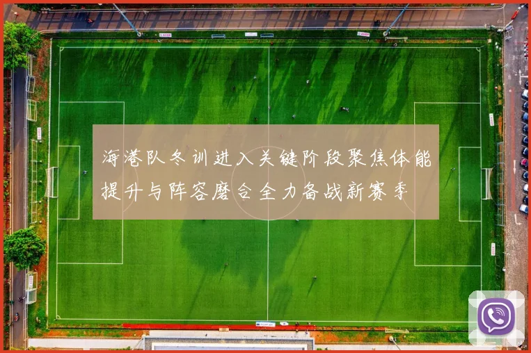 海港队冬训进入关键阶段聚焦体能提升与阵容磨合全力备战新赛季