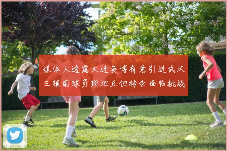 媒体人透露大连英博有意引进武汉三镇前球员斯坦丘但转会面临挑战